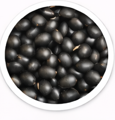 Frijol negro